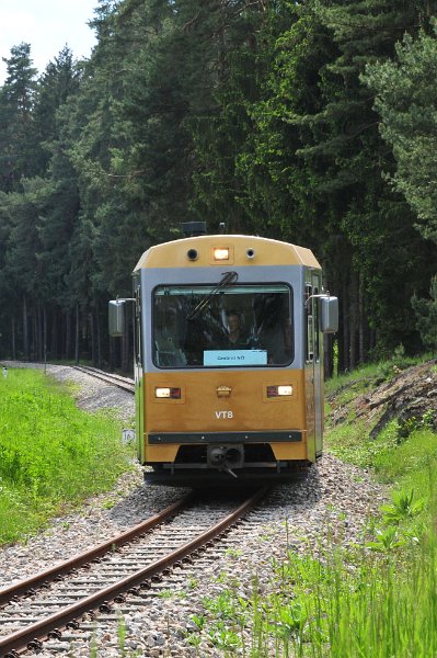 NÖVOG VT8 60  Jahre Diesellok 2095 (7)